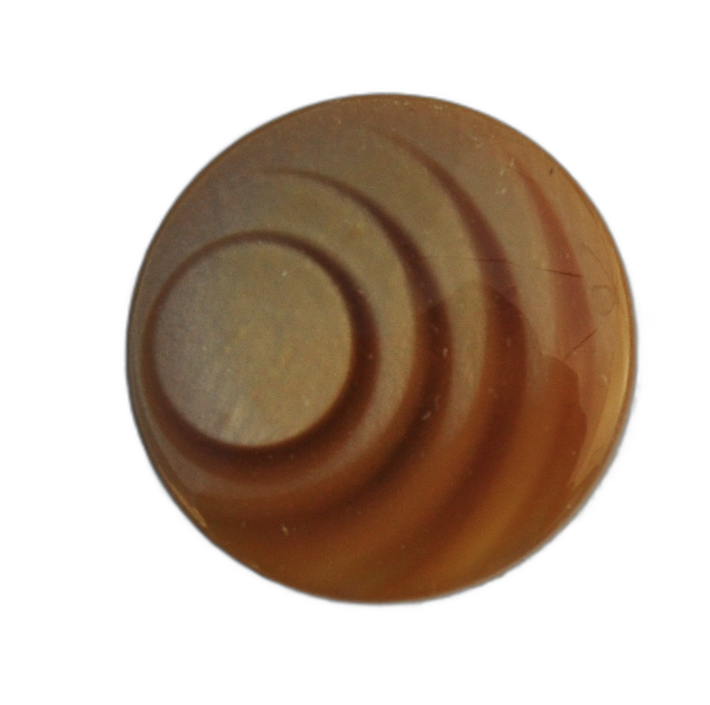 Glossy Brown and Beige Button