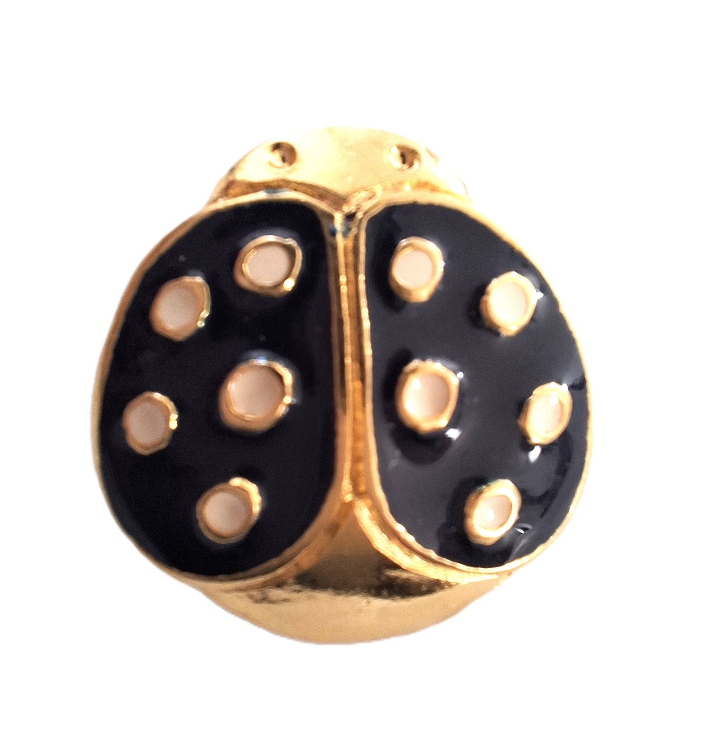 Exclusive Ladybird Glossy Button