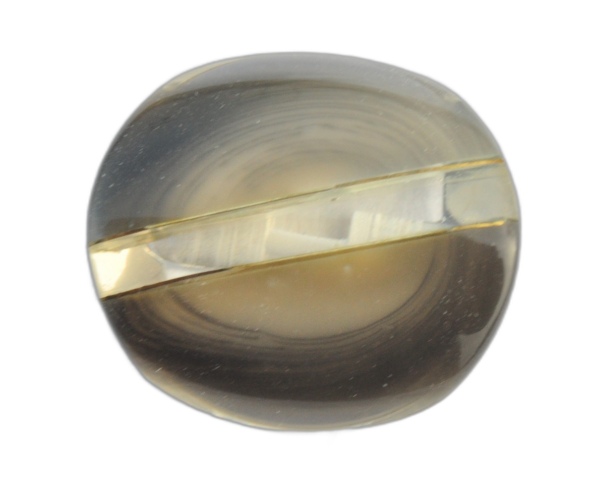 Exclusive Glossy Gray Plastic Button