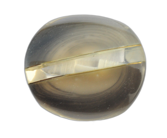 Exclusive Glossy Gray Plastic Button
