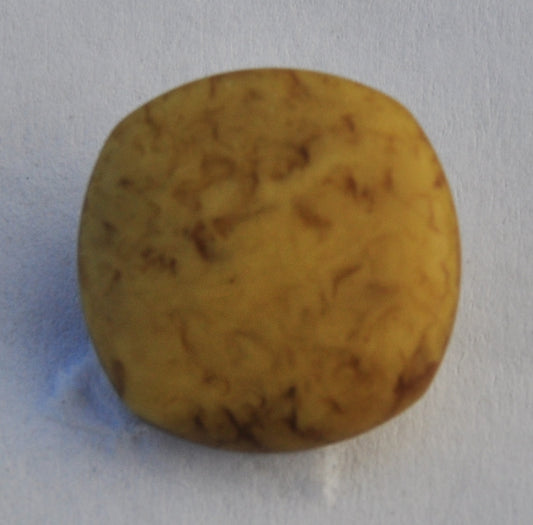  Matte Finish Button - Beige and Brown