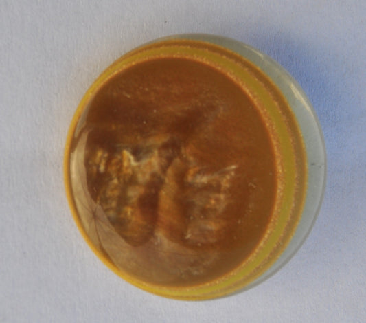 Glossy Mustard and Brown Button