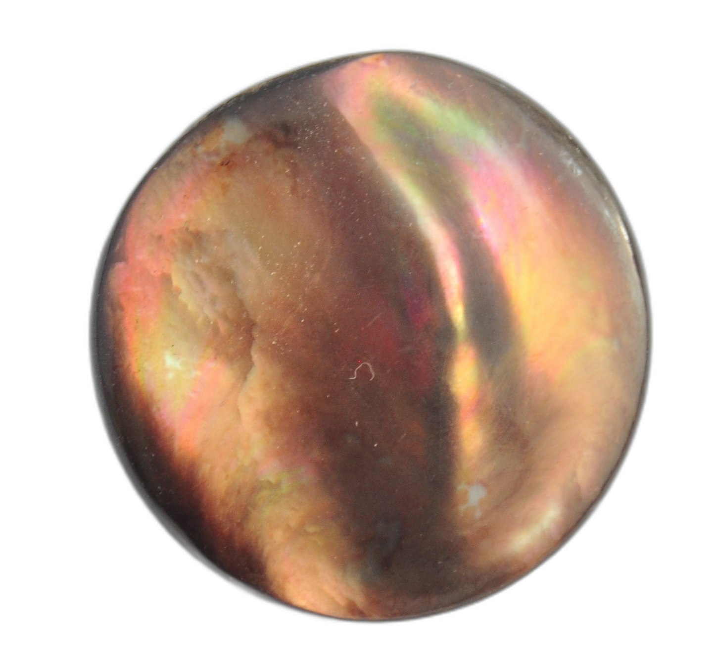 Exclusive Multicolor Glossy Fashion Button