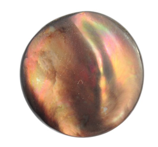 Exclusive Multicolor Glossy Fashion Button