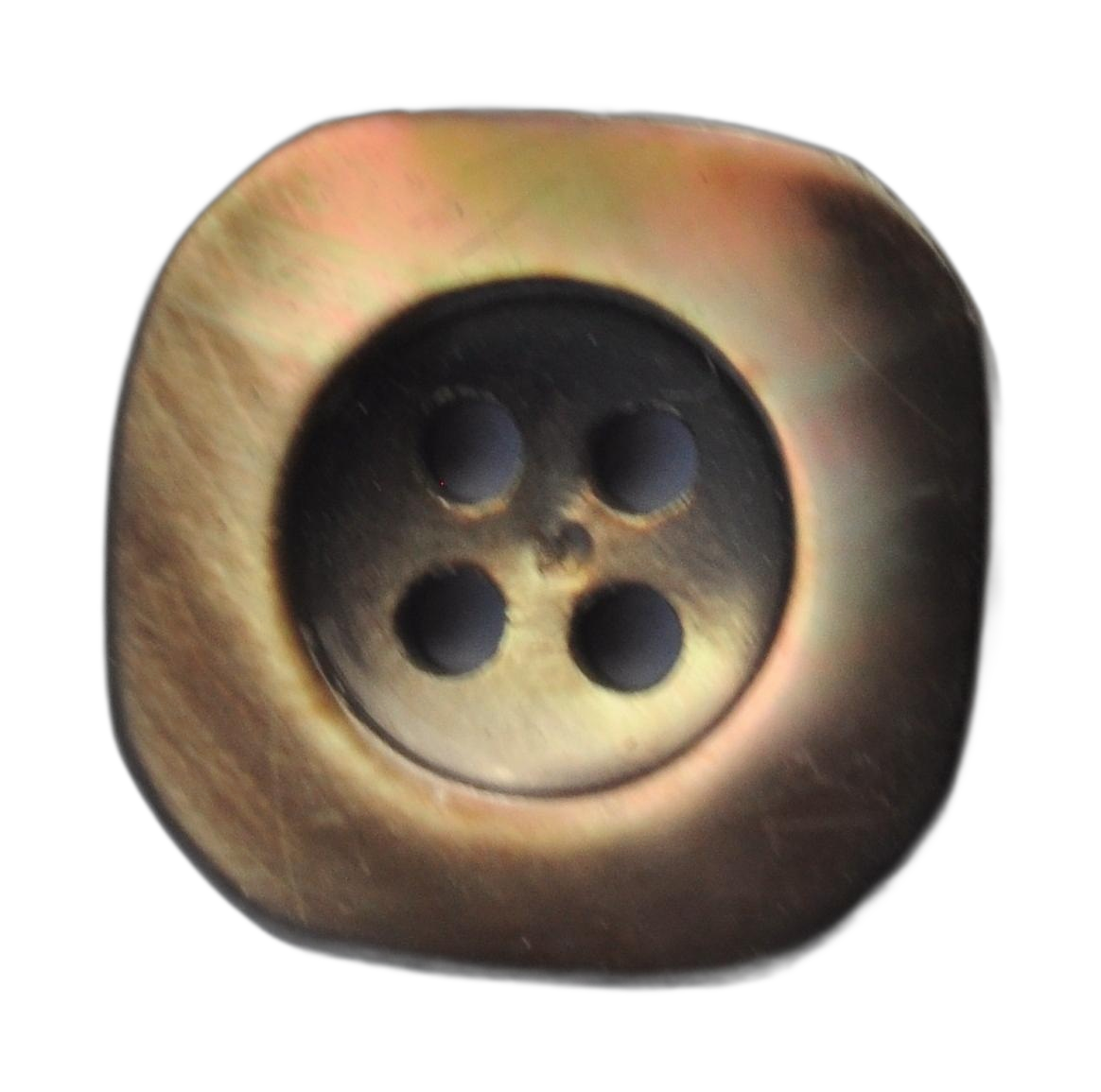 Exquisite Mother-of-Pearl Button - Bronze & Brown Glossy Finish