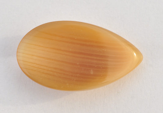 Leaf-shape Glossy Beige Button for Clothing