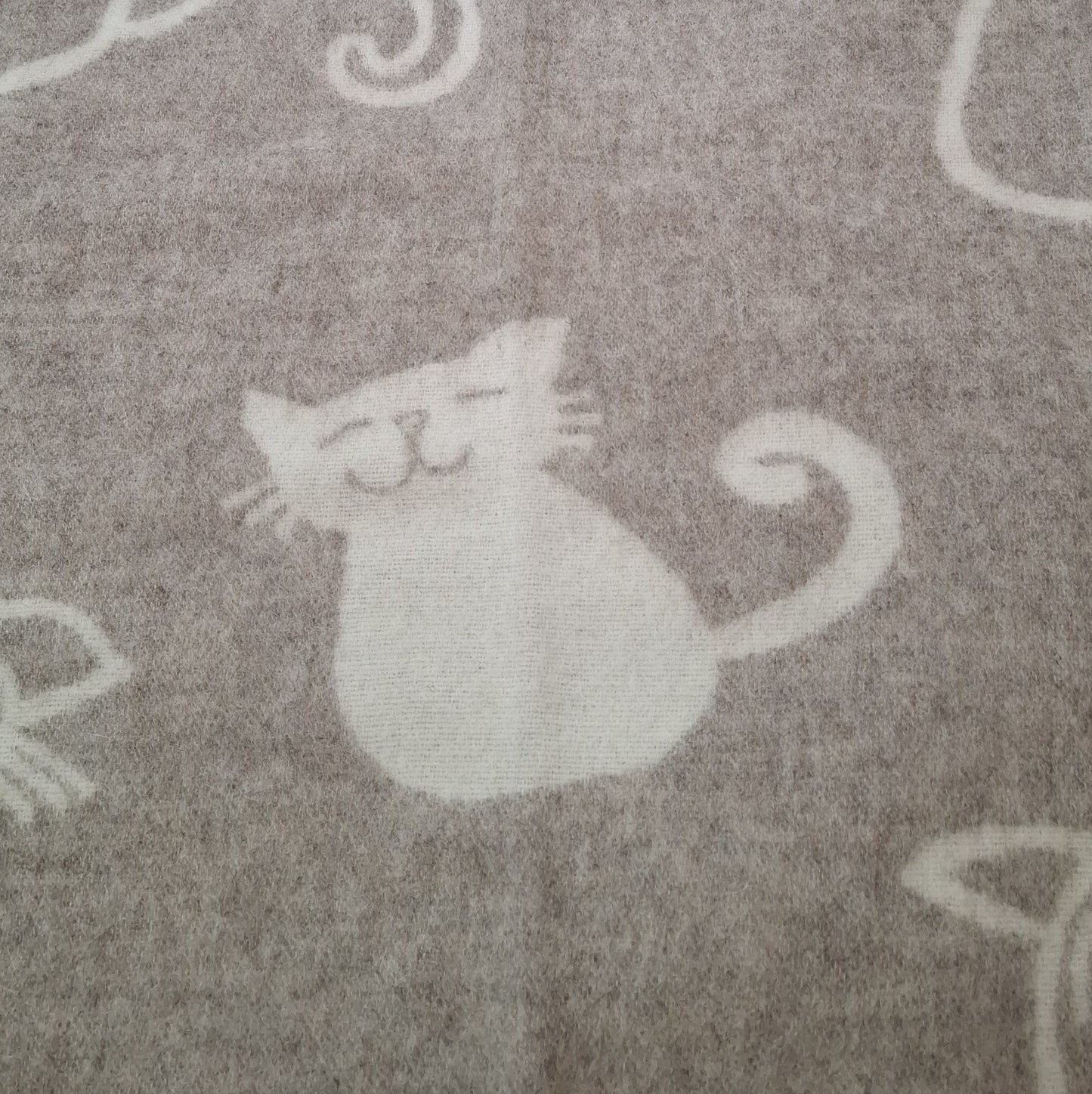 Wool blanket Cat